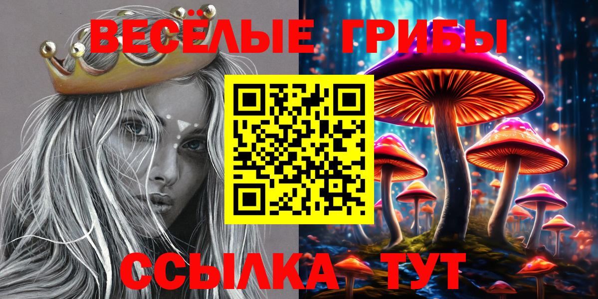 Обнинск  Галлюциногенные грибы MAGIC MUSHROOMS  Вход с VPN  Галлюциногенные грибы Psilocybe 